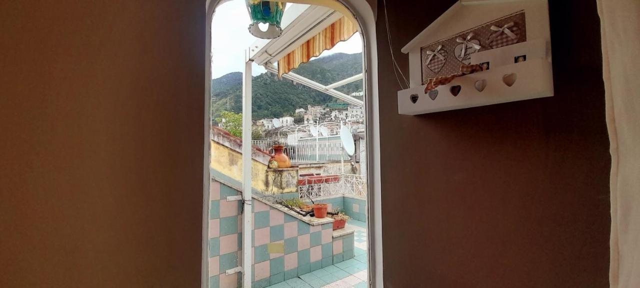 Judith Wright'S Home 马奥莱 外观 照片